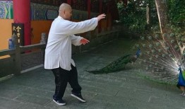 雷雷最新爆料,揭秘娱乐圈惊人内幕