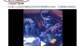 广州雨神爆料视频大全集,揭秘城市风云变幻背后的故事