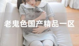 色8精品视频在线观看