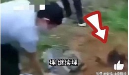 逃生最新爆料视频大全集