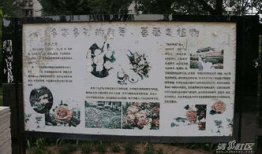 河北张家口爆料新闻,重大事件引发社会关注