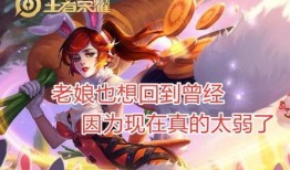 王者爆料花姐视频大全,花姐视频大全精彩回顾