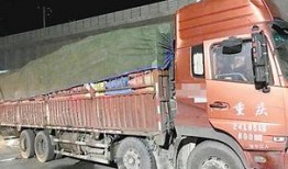 哈尔滨大货车爆料视频最新,揭秘城市交通乱象背后的真相