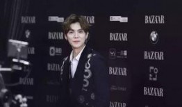 陈赫鹿晗爆料事件视频,娱乐圈真相大揭秘