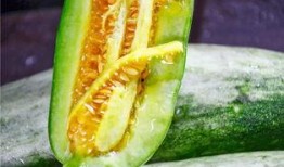 网红吃瓜免费爆料,免费爆料背后的秘密大揭秘