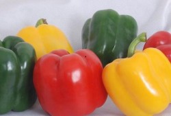 花椒乐悠悠最新爆料内容