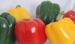 花椒乐悠悠最新爆料内容