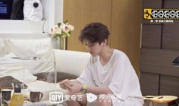 陈赫鹿晗爆料事件视频,娱乐圈真相大揭秘