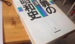 昭和犯罪在线观看,揭秘日本昭和时代罪案风云