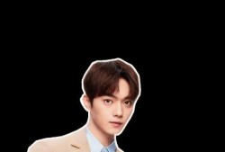 一哥爆料许凯视频大全最新,一哥爆料背后的精彩瞬间