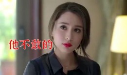 东北老妈爆料视频大全最新,揭秘东北家庭生活趣味瞬间