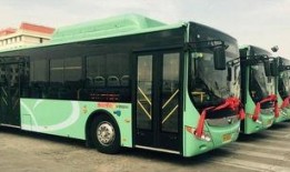3路公交车爆料新闻视频,揭秘城市交通背后的故事