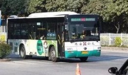 珠海公交车爆料新闻视频,惊现惊人一幕！