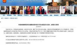 固安翟氏爆料事件视频,揭秘背后真相与争议