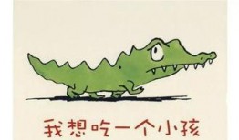 娱乐吃瓜 小故事大全视频,小故事大全视频精选集