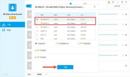 爆料超高清视频下载软件,一键获取极致画质，畅享视觉盛宴
