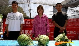 最新吃瓜爆料河北,揭秘背后惊人真相