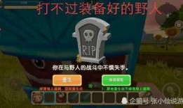 迷你新道具野人爆料视频,野人爆料视频带你探秘神秘野人世界