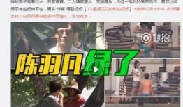 郭天翼爆料李菁视频播放,郭天翼揭露李菁视频播放背后真相