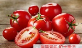 番茄免费小说古代吃瓜系统读心文,吃瓜系统助我读心，解锁宫廷秘闻