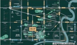 光明新区新闻爆料电话,倾听民声，守护平安的桥梁