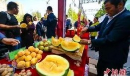 吃瓜部落免费,免费娱乐背后的故事