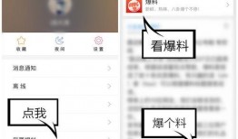 如何视频爆料,揭秘事件真相与幕后黑幕