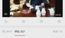 娱乐圈爆料锤子,锤子事件真相大揭秘！
