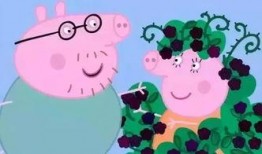 小猪先生八点爆料视频,揭秘娱乐圈最新动态