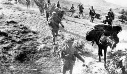 在线观看济南战役,历史转折点的在线重现