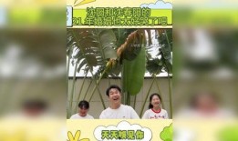 今日热点明星爆料视频