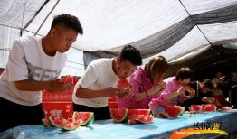 最新吃瓜爆料河北,揭秘背后惊人真相