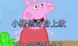 小猪先生八点爆料视频,揭秘娱乐圈最新动态