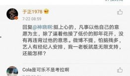 吃瓜系统娱乐圈,吃瓜系统揭秘幕后真相