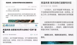 今日动物爆料新闻报道,揭秘野生动物的神秘生活