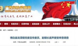 澎湃新闻爆料电话多少号,揭秘新闻背后的真相