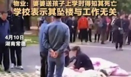 坠楼老师爆料视频大全,揭开教育乱象背后的真相