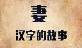 王力宏老婆爆料文字视频,揭秘婚姻内幕