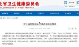 河北省最新爆料消息新闻,聚焦热点事件深度解析