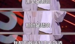 爆料网友脱口秀视频,网友爆料视频背后的惊人真相