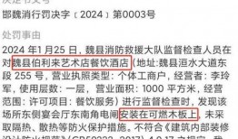 罗源特大新闻爆料事件视频,视频揭秘惊人真相