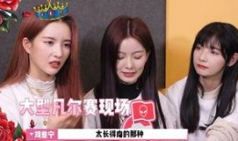 娱乐圈大爆料刘些宁视频,娱乐圈幕后真相大曝光！