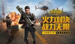 和平精英爆料1周年视频,回顾辉煌历程，展望未来辉煌