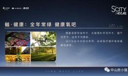 内鬼爆料散兵图文大全最新,揭秘散兵图文大全背后的惊人真相