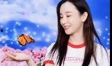 娱乐爆料张檬视频播放全集,娱乐爆料背后的真相揭秘