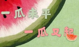 娱乐吃瓜 小故事大全视频,小故事大全视频精选集