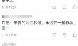 娱乐圈爆料锤子,锤子事件真相大揭秘！