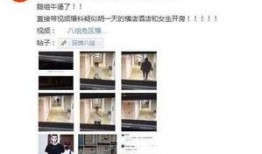 黑料狗仔爆料视频在线观看,揭秘娱乐圈幕后真相