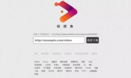 爆料奇特视频下载网站大全,一网打尽全网热门资源