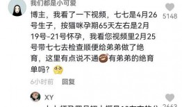 全网娱乐吃瓜君小说